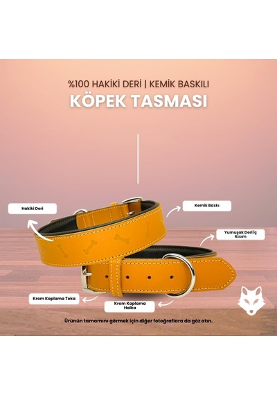 Kemik Baskılı Hakiki Deri Köpek Tasması Yumuşak Deri Alt Kısım, Krom Toka, Şık Ve Dayanıklı Sarı, M Çok Renkli