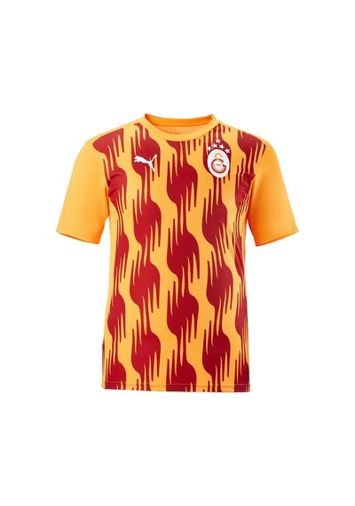 Galatasaray Lisanslı Sıfır Yaka A Takım Antrenman 5 Yıldızlı T-shirt + Bileklik Set Ahşap Kutulu Kırmızı - Gri Galatasaray Lisanslı Sıfır Yaka A Takım Antrenman 5 Yıldızlı T-shirt + Bileklik Set Ahşap Kutulu Kırmızı - Gri
