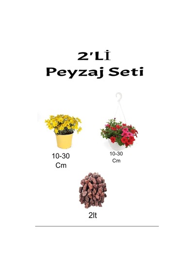 3'lü Peyzaj Seti Sarı Çalı Papatyası Kırmızı Petunya Çiçeği Curf