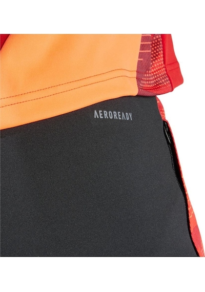 Adidas Tıro24 C Tr Pnt Erkek Eşofman Alt Ip1879-siyah Siyah