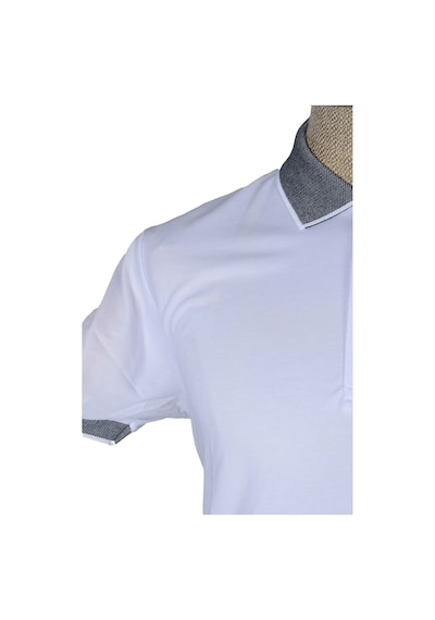 Cengiz İnler Polo Yaka Kısa Kollu Erkek T-shirt Çok Renkli