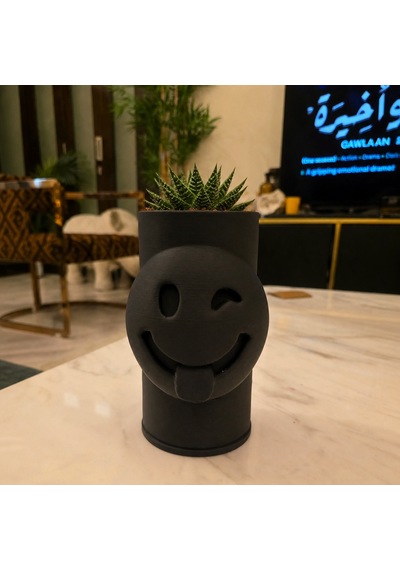 3d Baskı Emoji Planter - Göz Kırpan Yüzlü Sukulent Saksısı-siyah Çok Renkli