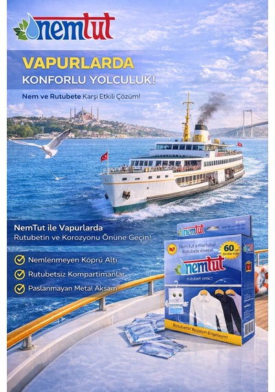 Rutubet Giderici Nem Emici Koku Küf Ve Korozyon Önleyici 1 Kutu 2 Paket 1 Kg