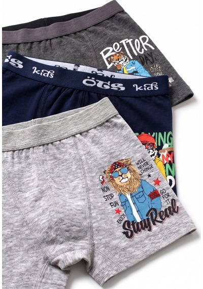 Öts Erkek Çocuk 3 Lü Pamuklu Boxer Baskılı Günlük Klasik Model 7386-3 Renkli