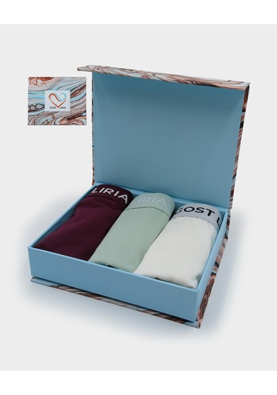 Gost Liria Twinkle Kadın Slip 3 Lü Paket - Çok Renkli Çok Renkli