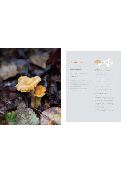 Shroom: Mind-bendingly Good Recipes For Cultivated And Wild Mushrooms