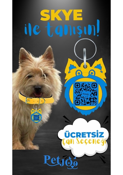 Petjoo 6.Skye Mavi-Sarı Qr'lı Köpek Künyesi