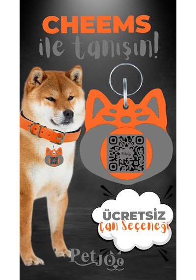 Petjoo 18.Cheems Gri-Turuncu Qr'lı Köpek Künyesi