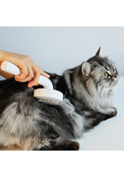 Petkit Tüy Toplayıcı Kedi Köpek Tarak Beyaz 2 (Resmi Distribütör Garantili)