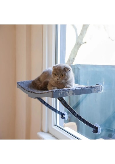 Cama Yapışan Kedi Yatağı