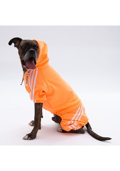 Pawstar Turuncu Tuta Orta ve Büyük Irk Köpek Tulumu Köpek Kıyafeti