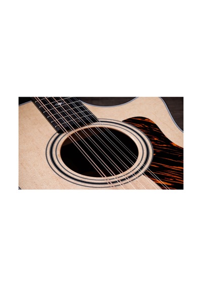 Taylor 354ce 12 Telli Elektro Akustik Gitar 104051399949