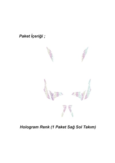 Cfmoto 250nk Orta Tattoo Desen Dövme Sticker Set Sağ Ve Sol Yeni Kasa Uyumlu Hologram