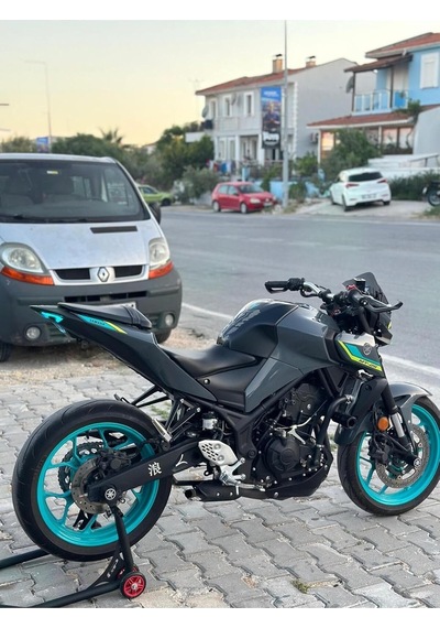 Akdesen Mt-25 2021-2024 Neon Sticker 1