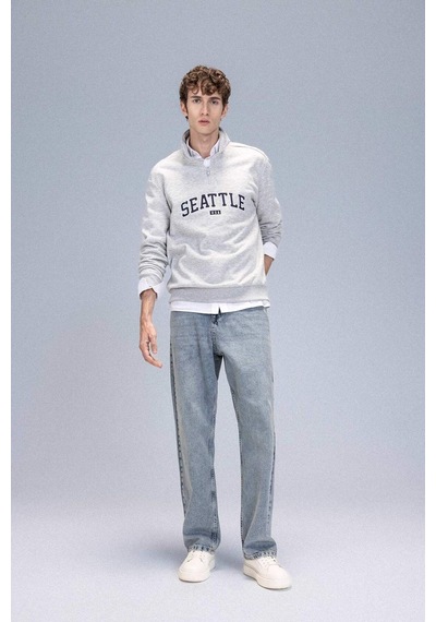 DeFacto Relax Fit Fermuarlı Dik Yaka Baskılı Kalın Sweatshirt D2168AX24AUGR389 Gri