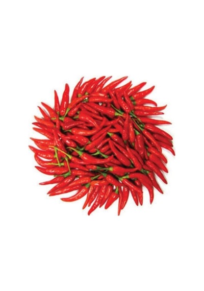 250 Adet Tohum Eko Paket Şili Biberi Tohumu Çok Acı Chili Biberi Tohumu Organik..
