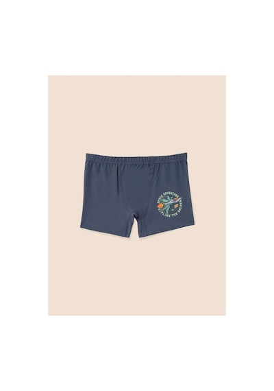 Natuline Erkek Çocuk Organik Pamuklu Likralı Boxer 3' Lü Space 3509-3 Karışık