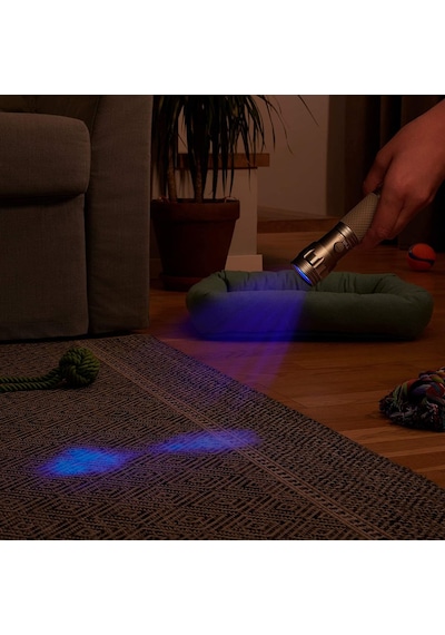 Varta Day Light Uv Led Mor Işık El Feneri Gri