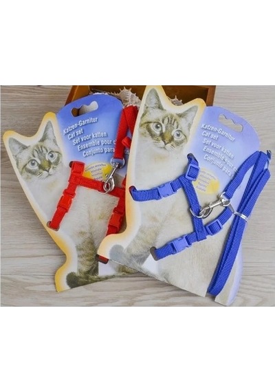 Bay Kedi Boyun Ve Göğüs Tasması Najmaddin