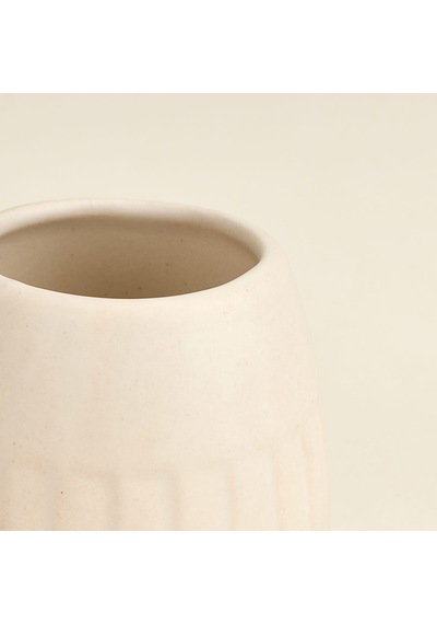 Bath Matte Diş Fırçalık - Krem - 7x6,5 Cm Çok Renkli