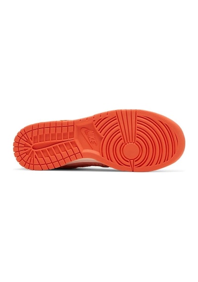 Nike Dunk Low Winter Solstice Spor Ayakkabı Çok Renkli