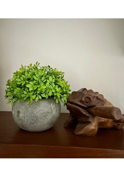 Yapay Şimşir Boxwood Çiçeği Antrasit Modern Saksılı Premium Ev Ofis Dekoru Yeşil