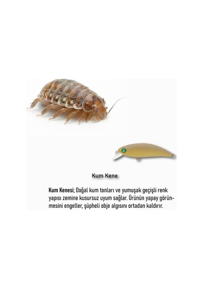 Hanfish Zıpır Kg 50mm 4.5gr Maket Balık Spk90 Kum Kene