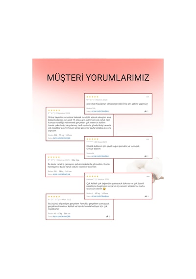 Alya Underwear Kadın Pamuklu Hipster - Slip Külot 5 Farklı Renk 1 Pakette P24