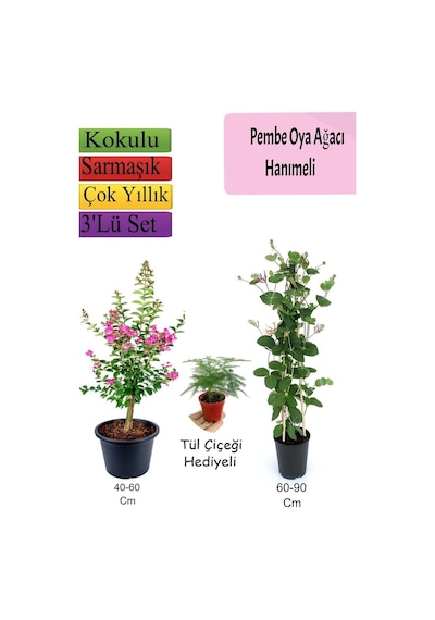 Pembe Oya Ağacı+ Hanıme Çiçeği+ Tül Çiçeği