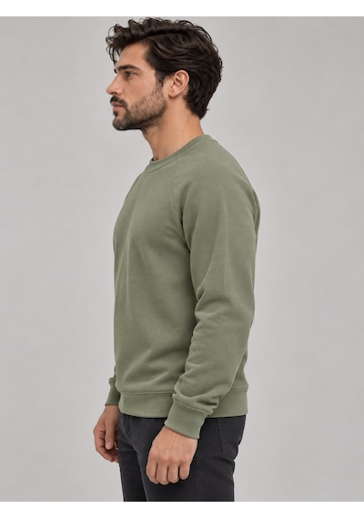 We&me Erkek Pike Kumaş Reglan Kol Bisiklet Yaka Regular Fit Sweatshirt Haki