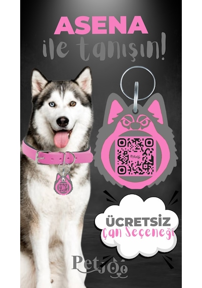 Petjoo 25.Asena Gri-Pembe Qr'lı Köpek Künyesi