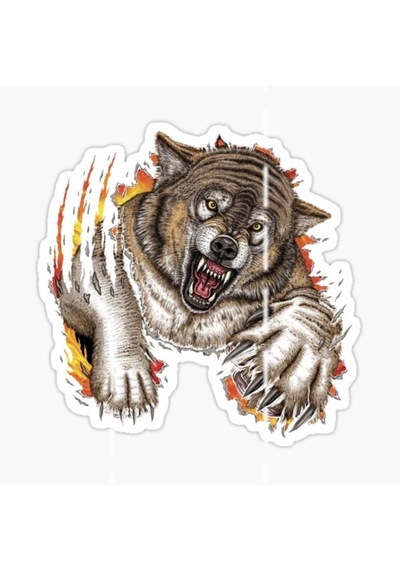 Öfkeli Kızgın Kurt Araba Sticker Oto Yapıştırması 18Cm A1