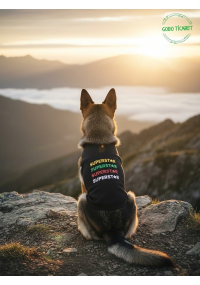 Siyah Superstar Yazılı Kedi Ve Köpek Kıyafeti Tişörtü Elbisesi Medium/m/beden 2