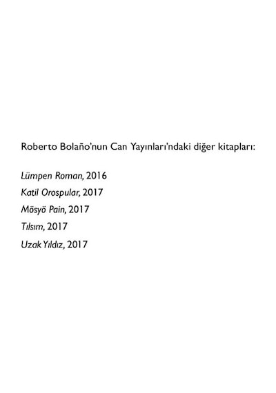 Vahşi Hafiyeler - Gizemli Ve Gerilim Dolu Hikaye