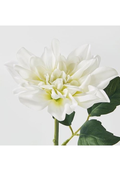Ikea Smycka Yapay Çiçek, Beyaz, 30 Cm, İç/dış Mekan Yıldız Çiçeği