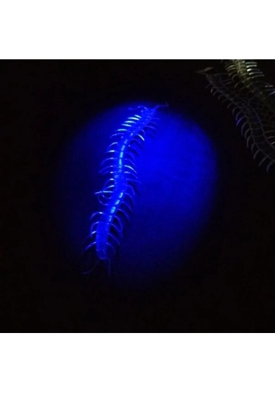 Şaka Yılan Ve Kırkayak Karışık 36 Adet +3