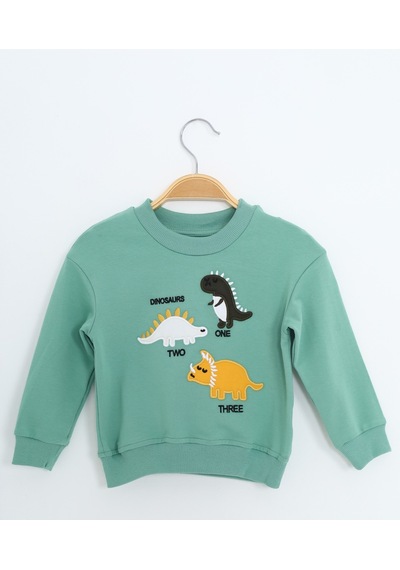 Toontoy Kids Toontoy Erkek Çocuk Relax Fit Bisiklet Yaka Hafif Düşük Omuz Nakışlı Sweatshirt Yeşil