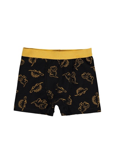 Civil Boys Civil Erkek Çocuk Dinosaurs Erkek Çocuk 2'li Boxer Likralı Süprem Okul Kreş Ve Günlük Kullanım Standart