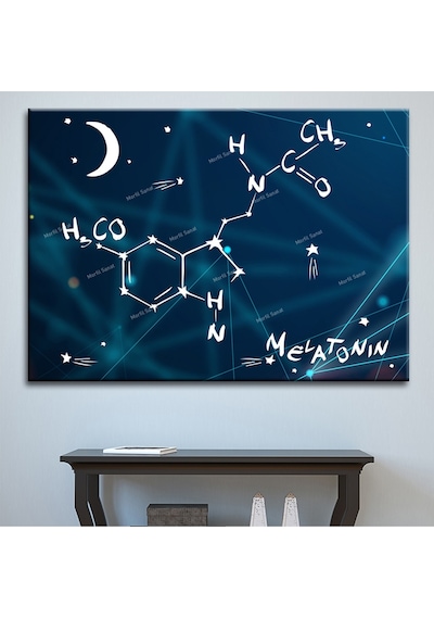 Grabovoi Meletonin Aşk Mutluluk Formülü Yaşam Çiçeği Kanvas Tablo 100 x 70