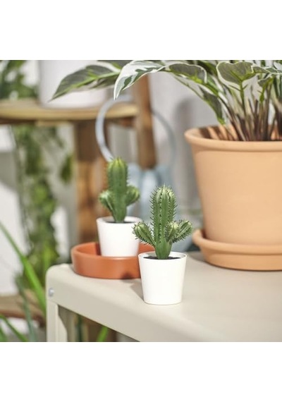 Tr Yapay Bitki, Yeşil, 6 Cm, Kaktüs, İç/dış Mekan Diğer
