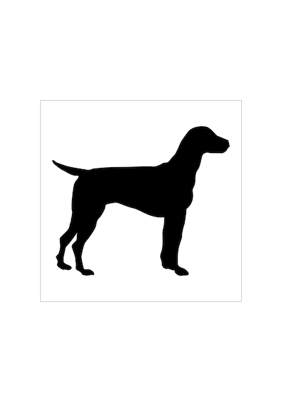 Köpek Folyo Sticker Derstv891 70cm Uzunluk Siyah