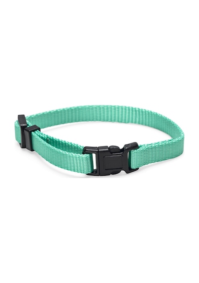 Hnrlıshp Beeztees Yavru Köpek Boyun Tasması, Çeşitli Renklerde, 17-25cm, 10mm Çok Renkli