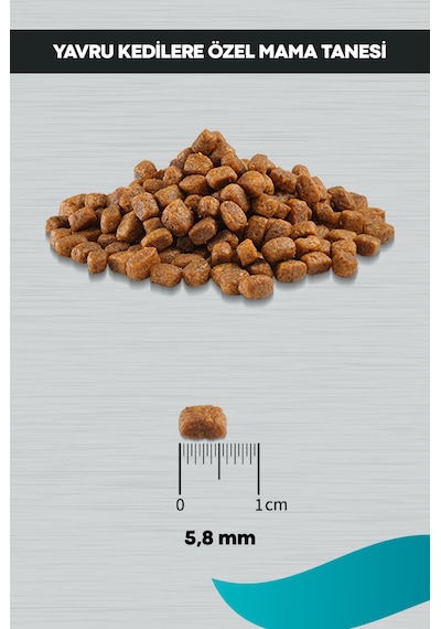 Peritas Signature Tavuklu Yavru Kedi Maması 10 KG
