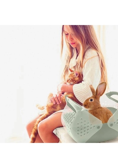 İmac Baggy Kemirgen Ve Yavru Kedi Taşıma Çantası Pembe 36x25x29 Cm