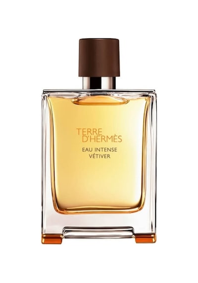 Hermes Terre D'Hermes Eau Intense Vetiver Erkek Parfüm EDP 50 ML