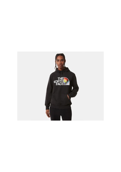 The North Face M Pullover Hoodie Erkek Outdoor Sweatshirts NF0A7QCKJK31 Siyah