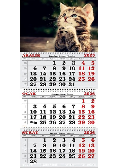 2026 Yılı Gemici Takvimi- Tatlı Yavru Kedi