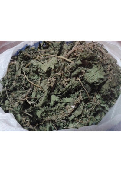 Isırgan Otu Yaprağı 250 G