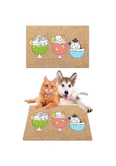 Tasse 40x60 Cm Özel Tasarım Iç Ve Dış Pvc Kapı Önü Paspasları