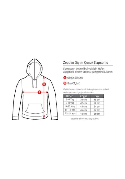 Zepplin Giyim Trivium The Sin And The Sentence Siyah Çocuk Kapşonlu Sweatshirt Zepplin Giyim Trivium The Sin And The Sentence Siyah Çocuk Kapşonlu Sweatshirt